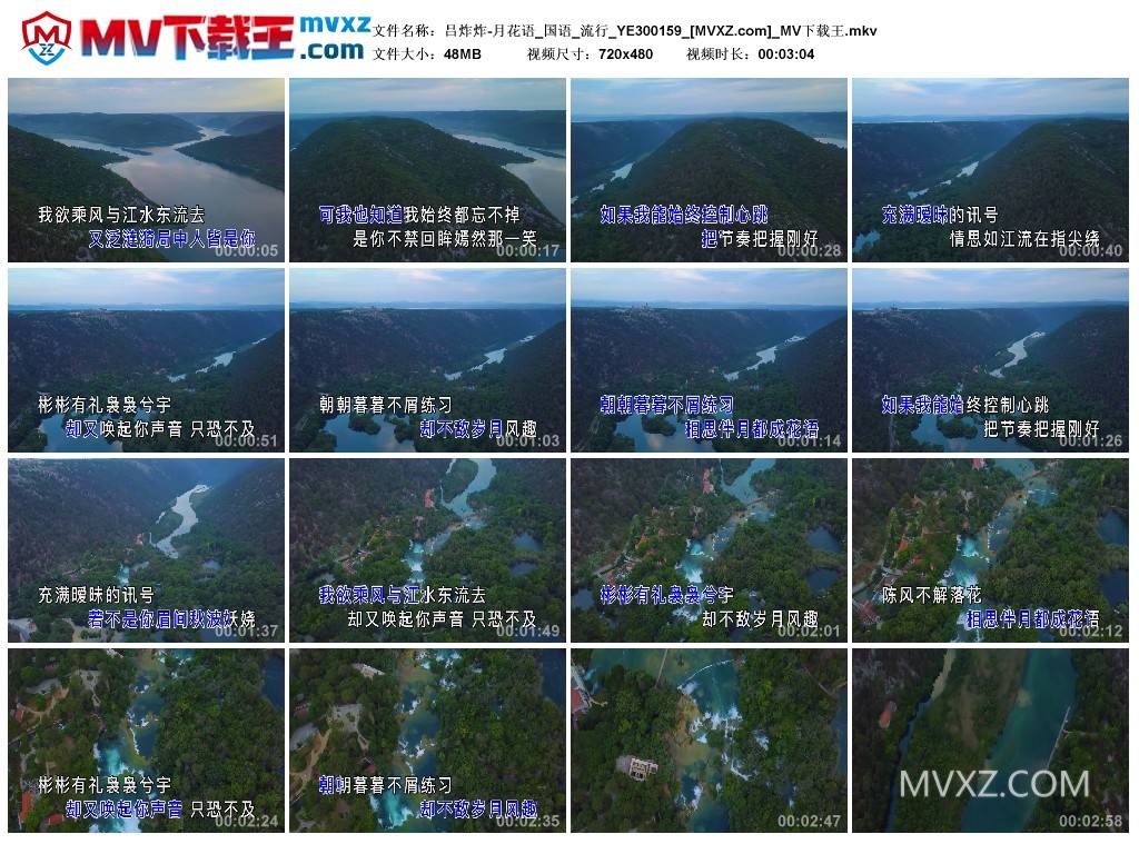 吕炸炸-月花语_国语_流行_YE300159